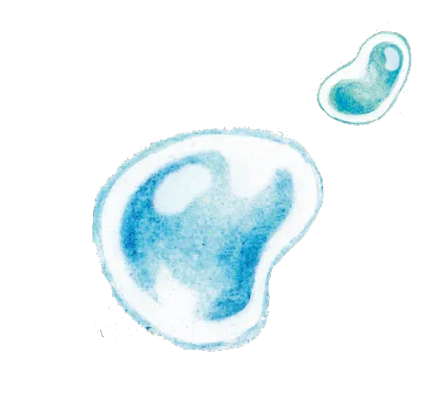 イラスト