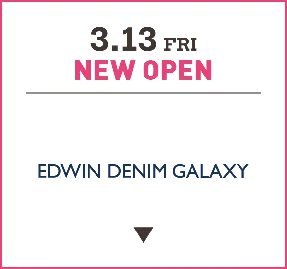 EDWIN DENIM GALAXY