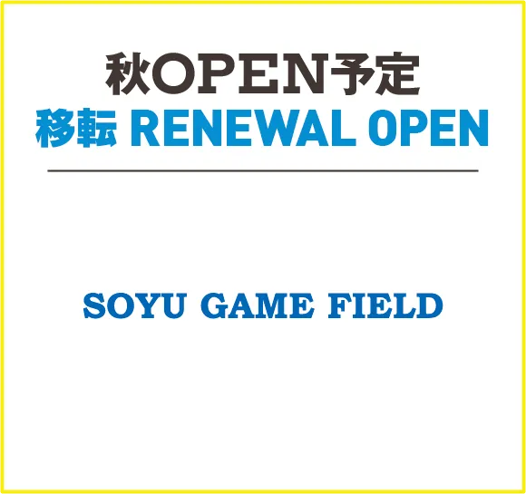 SONY GAME FIELD