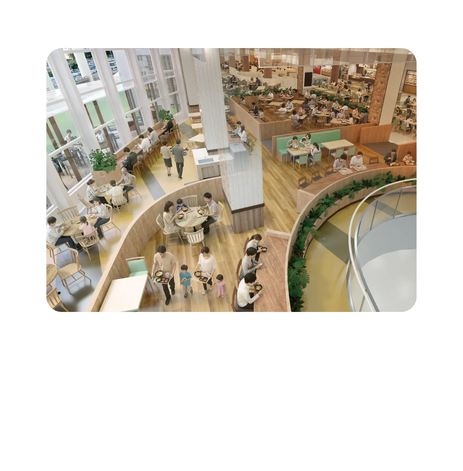 トピックコンテンツ