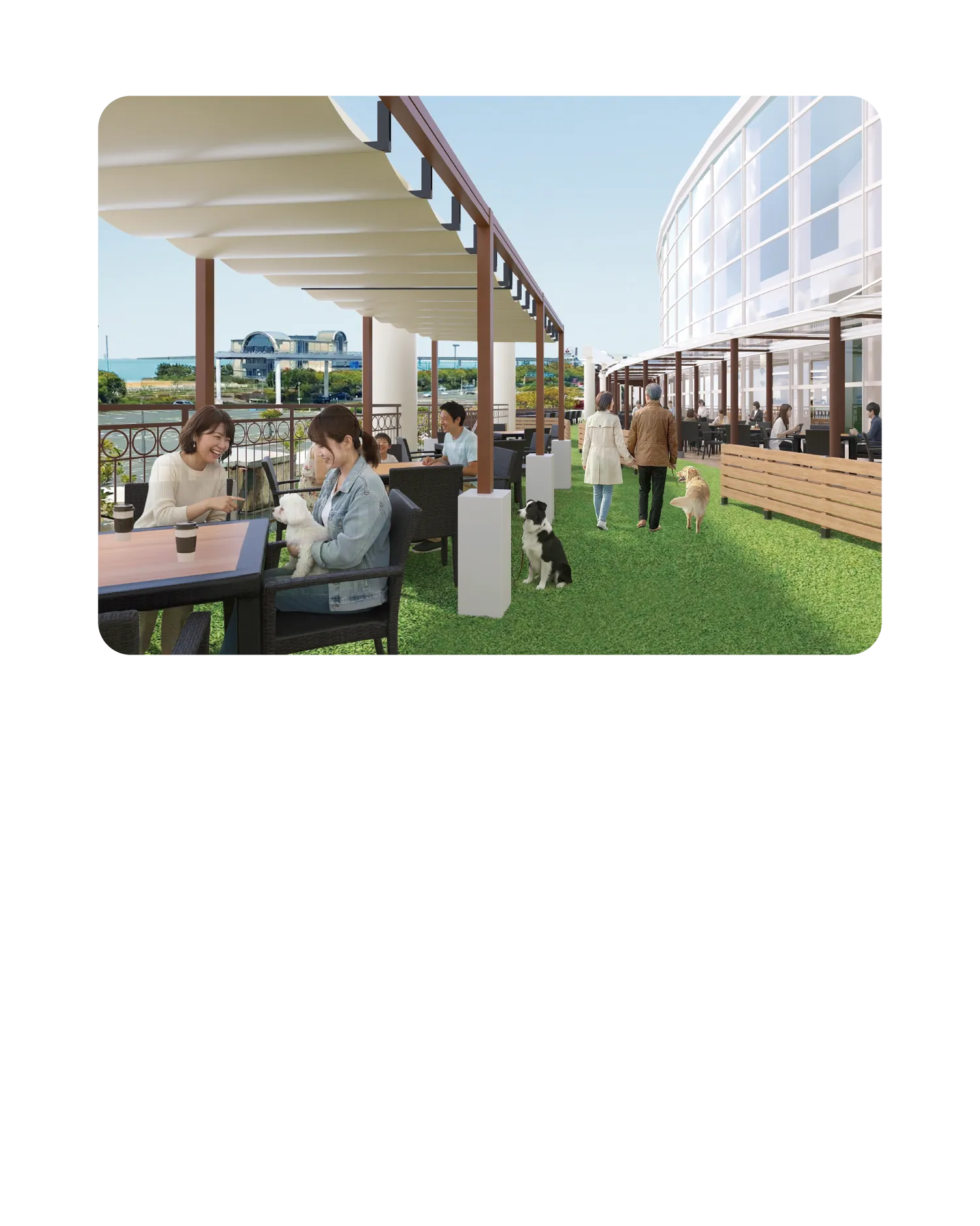 トピックコンテンツ