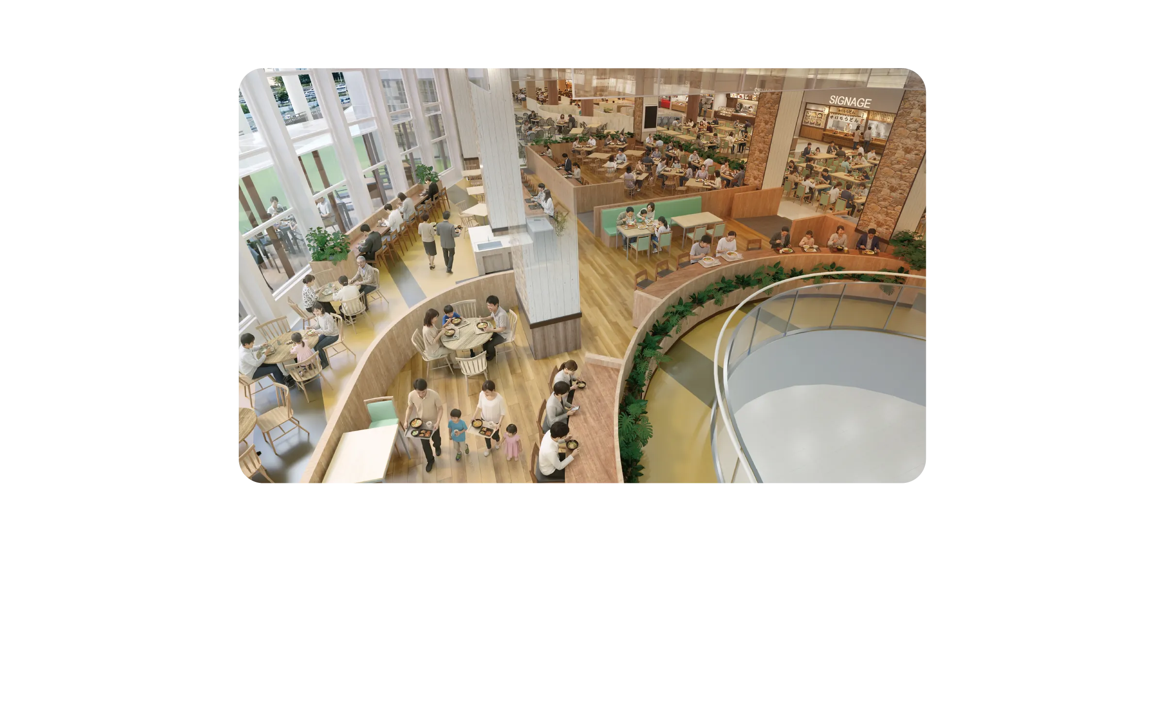 トピックスコンテンツ