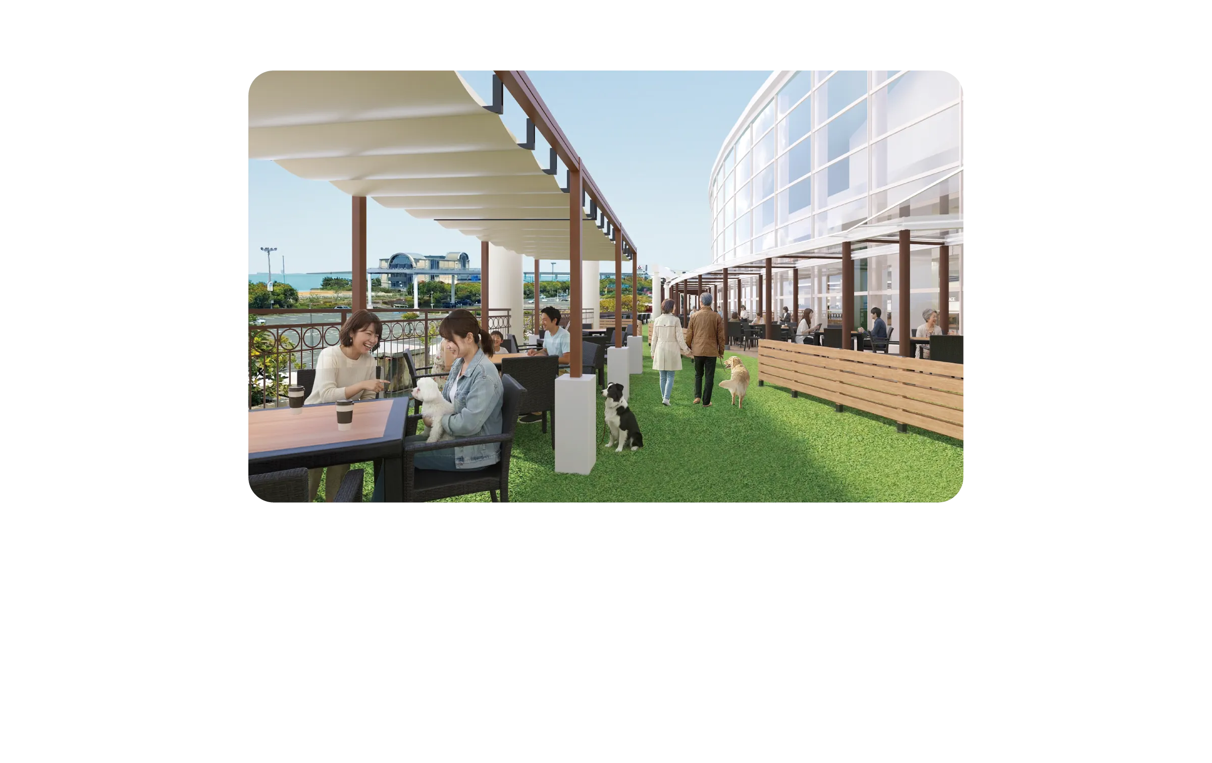 トピックスコンテンツ